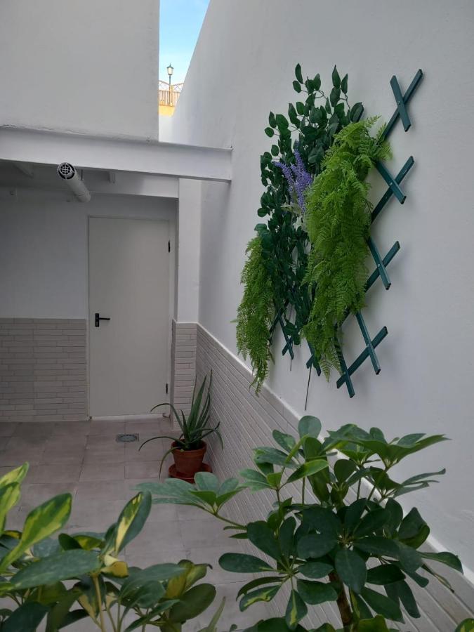 Apartamentos De La Haya & Suite Con Jacuzzi, Junto Al Teatro Romano เมรีดา ภายนอก รูปภาพ