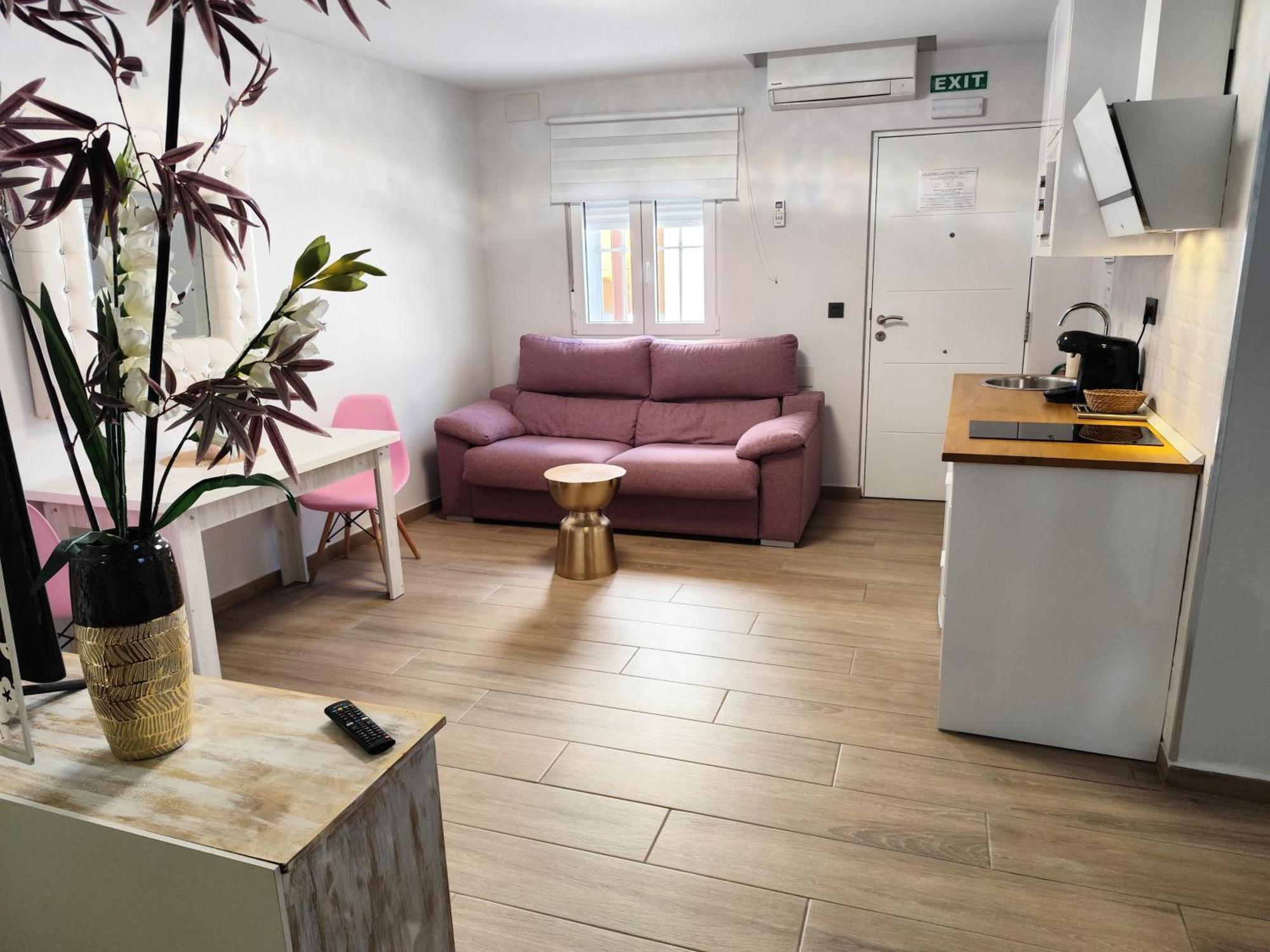 Apartamentos De La Haya & Suite Con Jacuzzi, Junto Al Teatro Romano เมรีดา ภายนอก รูปภาพ